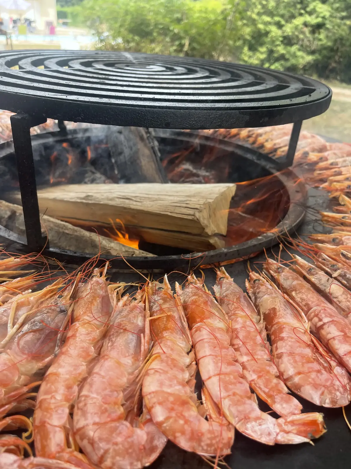 Grosses crevettes rouges au braséro
